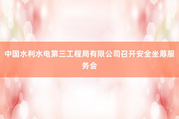 中国水利水电第三工程局有限公司召开安全坐蓐服务会