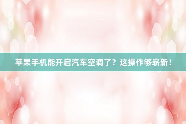 苹果手机能开启汽车空调了？这操作够崭新！