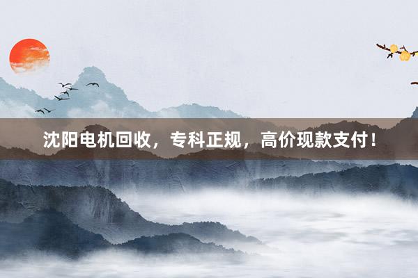 沈阳电机回收，专科正规，高价现款支付！