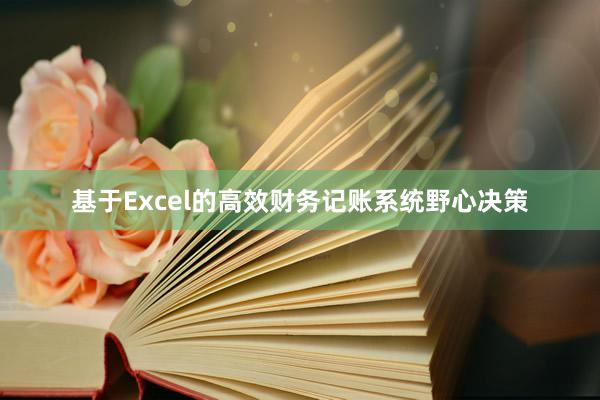 基于Excel的高效财务记账系统野心决策