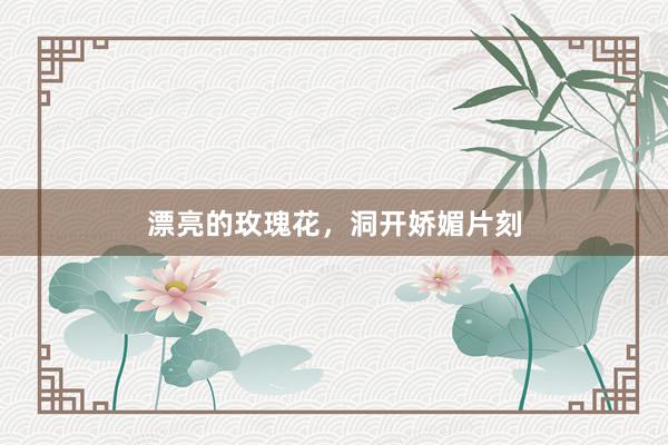 漂亮的玫瑰花，洞开娇媚片刻