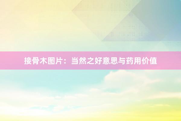 接骨木图片：当然之好意思与药用价值